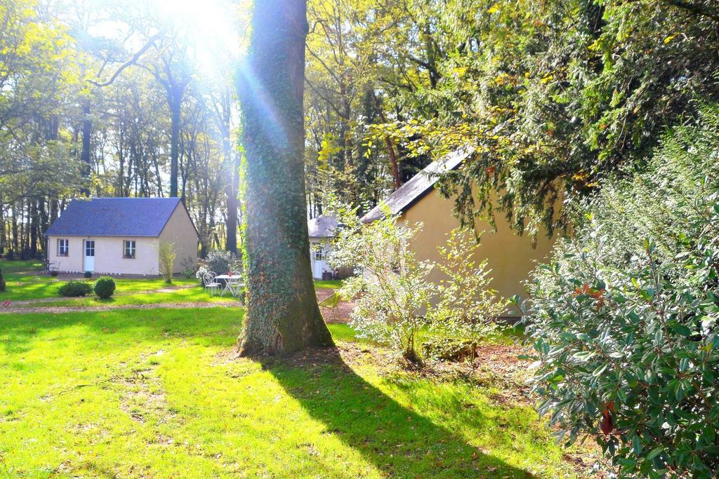 Hotel Les Grands Chênes Saint-Fargeau  Zimmer foto